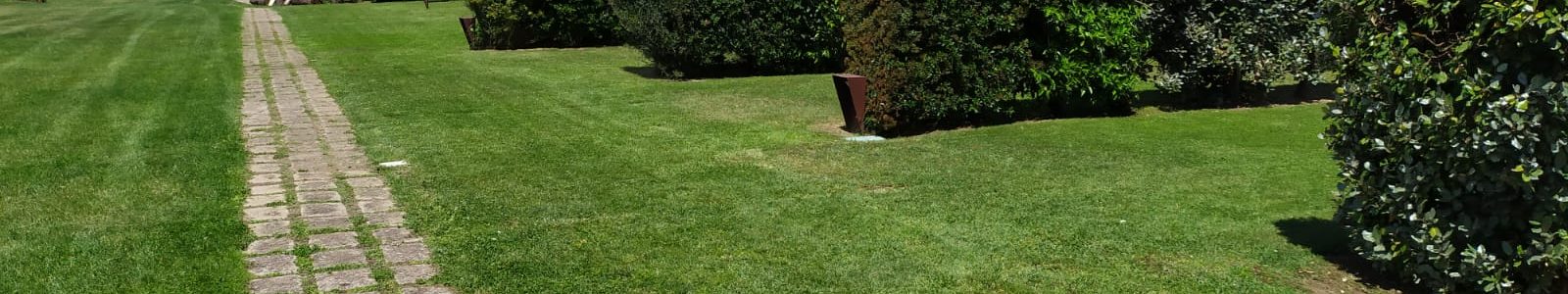 pulizia e giardinaggio